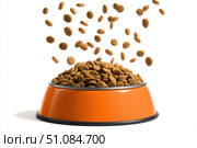 Orange steel pet bowl with small brown kibble food particles flying out of it isolated white background. Metal feline animal bowl full of dog food spilling into it. Dry cat feed floating in the air. Стоковое AI-изображение, AI-художник Марина Демидюк / Фотобанк Лори
