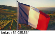 French flag waving in a vineyard during sunset. The flag features blue, white, and red vertical stripes. Lush green hills are visible in the background. Стоковое AI-видео, аниматор Nart / Фотобанк Лори