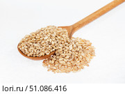 Wooden spoon with pearl barley. Стоковое фото, фотограф Александр Собко / Фотобанк Лори