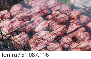 Pork Butt sliced on BBQ. Shish kebab. Pieces of pork on the grid, grilled meat with smoke. Food preparation process. Marinated spiced fillet meat cooked on charcoal barbeque grill. Outdoors cooking. Стоковое видео, видеограф Марина Демидюк / Фотобанк Лори