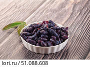Sweet juicy ripe honeysuckle berries. Стоковое фото, фотограф Андрей Старостин / Фотобанк Лори