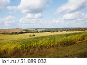 Поля урожая 2025, Россия, республика Татарстан. Стоковое фото, фотограф Людмила Гращенкова / Фотобанк Лори