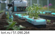 High-tech farming robots enhance crop growth in modern agriculture setting. Стоковое AI-видео, аниматор Сергей Толмачёв / Фотобанк Лори