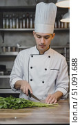 A Dedicated Chef Prepares Fresh Herbs in a Modern Kitchen, Showcasing Culinary Skills and Passion for Cooking with Precision and Careful Attention to Detail. Стоковое AI-видео, аниматор Владимир Федоров / Фотобанк Лори