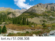 Mountain valley in Ala-Archa national park with rugged rock walls, spruce stands, talus apron, grassy flats, shallow streamcourse, blue sky. Emphasizes travel, route planning, staging for ascents. Стоковое фото, фотограф Андрей Ка / Фотобанк Лори
