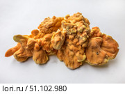 Куриный гриб, гриб трутовик серно-жёлтый Laetiporus sulphureus — трутовик, растущий на деревьях. Его также называют трутовиком сернистым. Изолированный на белом фоне с тенями.Chicken of the woods (Laetiporus sulphureus), close-up. Isolated on white background with shadows. Стоковое фото, фотограф Iva Noel / Фотобанк Лори