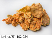 Куриный гриб, гриб трутовик серно-жёлтый Laetiporus sulphureus — трутовик, растущий на деревьях. Его также называют трутовиком сернистым. Изолированный на белом фоне с тенями.Chicken of the woods (Laetiporus sulphureus), close-up. Isolated on white background with shadows. Стоковое фото, фотограф Iva Noel / Фотобанк Лори