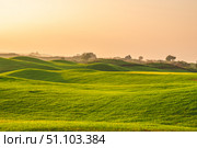 Soft sunlight bathes the landscape in a warm glow, highlighting the texture of the grass covering the gently sloping hills, creating a peaceful and inviting scene. Стоковое фото, фотограф Ольга Ильина / Фотобанк Лори