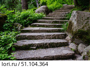 Stone steps leading upwards in lush green forest. Стоковое AI-изображение, AI-художник Иван Рябоконь / Фотобанк Лори