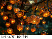 Glowing orange chinese lantern plants illuminating autumn garden. Стоковое AI-изображение, AI-художник Иван Рябоконь / Фотобанк Лори