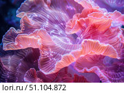 Pink and purple coral showing its wonderful textures in the ocean. Стоковое AI-изображение, AI-художник Иван Рябоконь / Фотобанк Лори