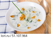 Bulgarian Tarator in white bowl. Стоковое фото, фотограф Яков Филимонов / Фотобанк Лори