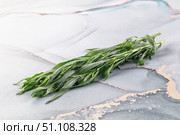 Fresh green estragon aroma stem. Стоковое фото, фотограф Андрей Старостин / Фотобанк Лори