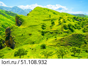 Picturesque mountain view of idealistic landscape of green mountain slope with steep rocky cliff and herd of cows on pasture. North Caucasus. Стоковое фото, фотограф Константин Лабунский / Фотобанк Лори