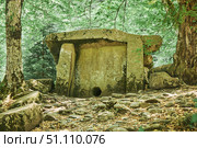 A wild ancient dolmen in the forest, a megalithic structure. The Caucasus Mountains. (2022 год). Стоковое фото, фотограф Наталия Кирсанова / Фотобанк Лори