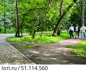 Three young women are walking along a path in the park. There are trees along the path, and benches along the road. Russia. Moscow. 19.08.25. Редакционное фото, фотограф Ярославский Максим / Фотобанк Лори