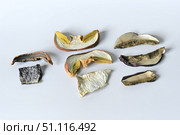 Сушеные грибы, слева на право: подосиновик, белый гриб настоящий (Boletus edulis), польский (Imleria badia). На белом фоне. Стоковое фото, фотограф Владимир Литвинов / Фотобанк Лори