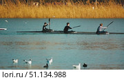 A lively scene of kayakers racing across a shimmering lake, surrounded by golden reeds. The atmosphere is energetic with splashes of water and dedicated athletes. Krasnodar, Russia, March 3, 2025. Редакционное видео, видеограф Воловодов Владимир / Фотобанк Лори