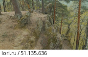 A rocky outcrop surrounded by tall slender pines. The moss-covered stones create a serene atmosphere of hiking in the wilderness. Стоковое видео, видеограф Воловодов Владимир / Фотобанк Лори