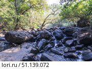 Dudhsagar Waterfall, Goa, India. (2018 год). Стоковое фото, фотограф Емельянов Евгений Викторович / Фотобанк Лори