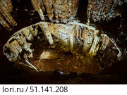 Dark cave view from inside with a lumen. Stalactites and stalagmites inside the stone grotto. Colorful stones in the cave. Lighting electricity beauty of the cave. (2019 год). Стоковое фото, фотограф Наталия Кирсанова / Фотобанк Лори