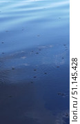 Насекомые-водомерки на воде в солнечный день. Стоковое видео, видеограф Ольга Визави / Фотобанк Лори