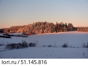 Winter landscape in the rays of the setting sun. Snow covers a spacious field, and on the horizon rises a dense coniferous forest, wrapped in frost and snow. Sunlight paints the tops of the trees in golden-pink shades, creating an atmosphere of coziness and tranquility. In the foreground, snow-covered bushes and dry branches protruding from the white blanket of snow are visible. The sky is clear, with a soft transition from blue to a warm orange tone. The photo conveys the silence and beauty of winter nature, the harmony between the cold and the warmth of the setting sun. Perfect for use in nature, tourism, winter recreation and seasonal postcards. Стоковое фото, фотограф Анна Кривицкая / Фотобанк Лори