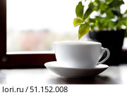 Coffee cup on the wooden table with green plant on window background. Стоковое AI-изображение, AI-художник Дмитрий Нечаев / Фотобанк Лори