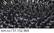 Ferrofluid tinted with colored paints yellow, green. The surface of the black liquid. Abstract background. Стоковое видео, видеограф Константин Мерцалов / Фотобанк Лори