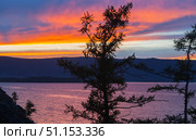 Beautiful bright sunset sky with pink clouds over shore of Baikal Lake after rain. View of Small Sea and rocky coast of Olkhon Island with silhouettes of larch trees. Scenic landscape. Natural background. Стоковое фото, фотограф Виктория Катьянова / Фотобанк Лори