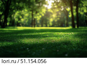 Sunlight Filters Through Trees, Illuminating Green Grass in a Peaceful Park Setting. Стоковое AI-изображение, AI-художник Юлия Гапеенко / Фотобанк Лори