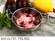 Marinated baby octopus snack appetizer. Стоковое фото, фотограф Андрей Старостин / Фотобанк Лори