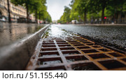Close-up of a wet street with rainwater flowing into a rusty metal storm drain, urban setting lined with trees and blurred city background. Стоковое AI-изображение, AI-художник Катерина Бондарец / Фотобанк Лори