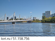 Велопешеходный вантовый мост в Нагатинском Затоне. Москва, Россия. Стоковое фото, фотограф Елена Коромыслова / Фотобанк Лори