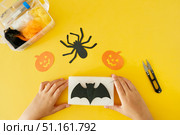 Как сделать тыкву и летучую мышь из шерсти на Хэллоуин. Концепция поделки своими руками. Детское творчество. Пошаговое валяние из шерсти. Хобби, ручная работа, рукоделие, досуг, творчество, дизайн. Стоковое фото, фотограф Терехова Марина / Фотобанк Лори