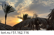 palm trees on the beach at sunset Tranquil summer vacation or holiday landscape. Tropical island sunset beach. Palm trees over calm sea water, sun rays, colorful sky. Exotic nature view, inspirational. Стоковое фото, фотограф Zita Khasanova / Фотобанк Лори