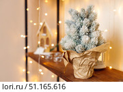 Small Christmas tree in pot wrapped in craft paper. Стоковое фото, фотограф Aleksandra Selivanova / Фотобанк Лори