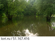 Landscape of flooded park after heavy rain. Стоковое фото, фотограф Евгений Харитонов / Фотобанк Лори