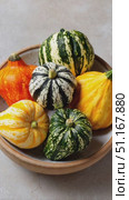 Vibrant, uniquely shaped gourds nestling inside ceramic bowl, gently turning on textured wooden surface, embodying seasonal harvest warmth and rustic autumn elegance. Стоковое AI-видео, аниматор Юрий Поздников / Фотобанк Лори