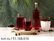 Homemade strong cherry cider in bottles and glasses on elegant background, still life with alcoholic drinks and fresh cherries, home winemaking concept, minimalist banner for bar, Стоковое фото, фотограф Светлана Балынь / Фотобанк Лори