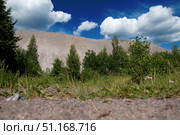 A picturesque summer landscape with a contrast between wild nature and man-made formation. In the foreground are green grasses and bushes growing against a blue sky with white clouds. Behind the trees rises a huge gray steep slope, similar to a man-made waste heap or mountain of rock. It stands out sharply against the rich greenery and blue sky, creating an unusual combination of natural and industrial landscape. The photo is great for use in themes related to ecology, industry, mining, as well as in the context of the opposition of nature and human activity. Стоковое фото, фотограф Анна Кривицкая / Фотобанк Лори