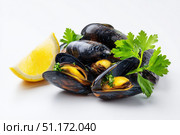 Mussels isolated on white background. Gourmet Spicy Mussels opened garnished with fresh green parsley and lemon slices served. Asian Style. Delicious seafood. Clams in the shells. Shellfish food. Стоковое AI-изображение, AI-художник Марина Демидюк / Фотобанк Лори