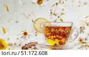 Cup of herbal tea with floating ingredients including lemon, chamomile, and capsules. Стоковое AI-видео, аниматор Анастасия Золотницкая / Фотобанк Лори