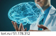 A hands-on demonstration showcases the use of holographic technology in brain science within a futuristic lab environment. Стоковое AI-видео, аниматор Данила Большаков / Фотобанк Лори