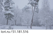 A Serene Winter Wonderland Featuring Trees Covered in Fresh Snow and Sparkling Flakes. Стоковое видео, видеограф Olesia Kondrateva / Фотобанк Лори