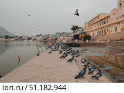 Holy lake in Pushkar city, Rajasthan state, India. Стоковое фото, фотограф Степанов Григорий / Фотобанк Лори