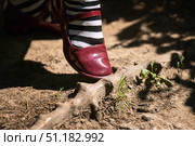A teenager's foot in a red leather shoe tripping over a tree root on a forest path. Стоковое фото, фотограф Татьяна Степанищева / Фотобанк Лори