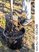 A gardener fills a black pot with soil using a shovel in preparation for planting a tree sapling. Стоковое фото, фотограф Коханова Наталья / Фотобанк Лори