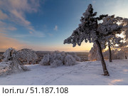Panorama of snow covered trees and resort Pyatigorsk (2023 год). Стоковое фото, фотограф Юлия Белоусова / Фотобанк Лори