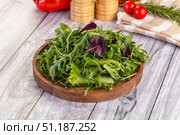 Fresh green ruccola salad leaves. Стоковое фото, фотограф Андрей Старостин / Фотобанк Лори